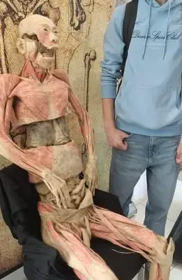 Uczniowie z Tyczyna na wystawie anatomii w Rzeszowie
