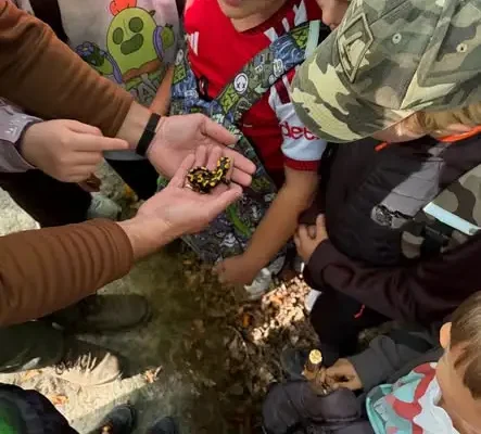 Uczniowie z Boguchwały odkrywali tajniki lasu w rezerwacie Wielki Las