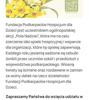 Tyczyn sadzi żonkilowe serce dla hospicjum – akcja już 14 października