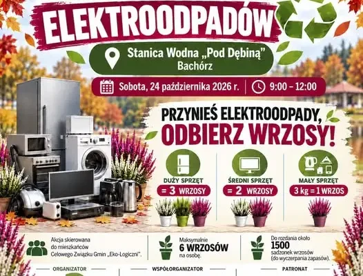 Bachórz: zbiórka elektroodpadów z wrzosami w nagrodę