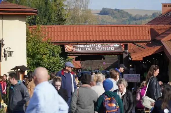 Błażowa na XI Podkarpackim Festiwalu Szarlotki – sukcesy zespołów i stoiska
