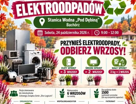 Wielka Zbiórka Elektroodpadów w Bachórzu – 24 października 2026